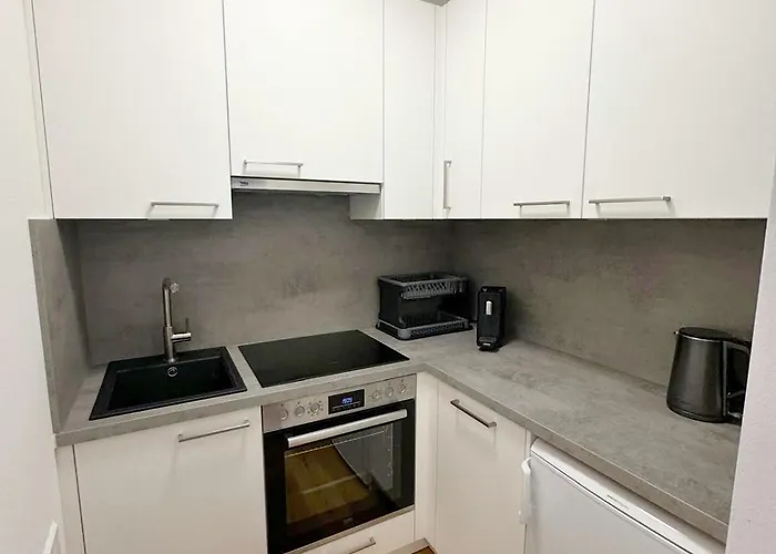 Appartement Modern Und Stilvoll -